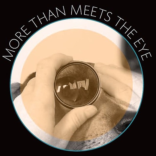 cullenwebb_animal_eye_doctor Instagram, Facebook Linktree